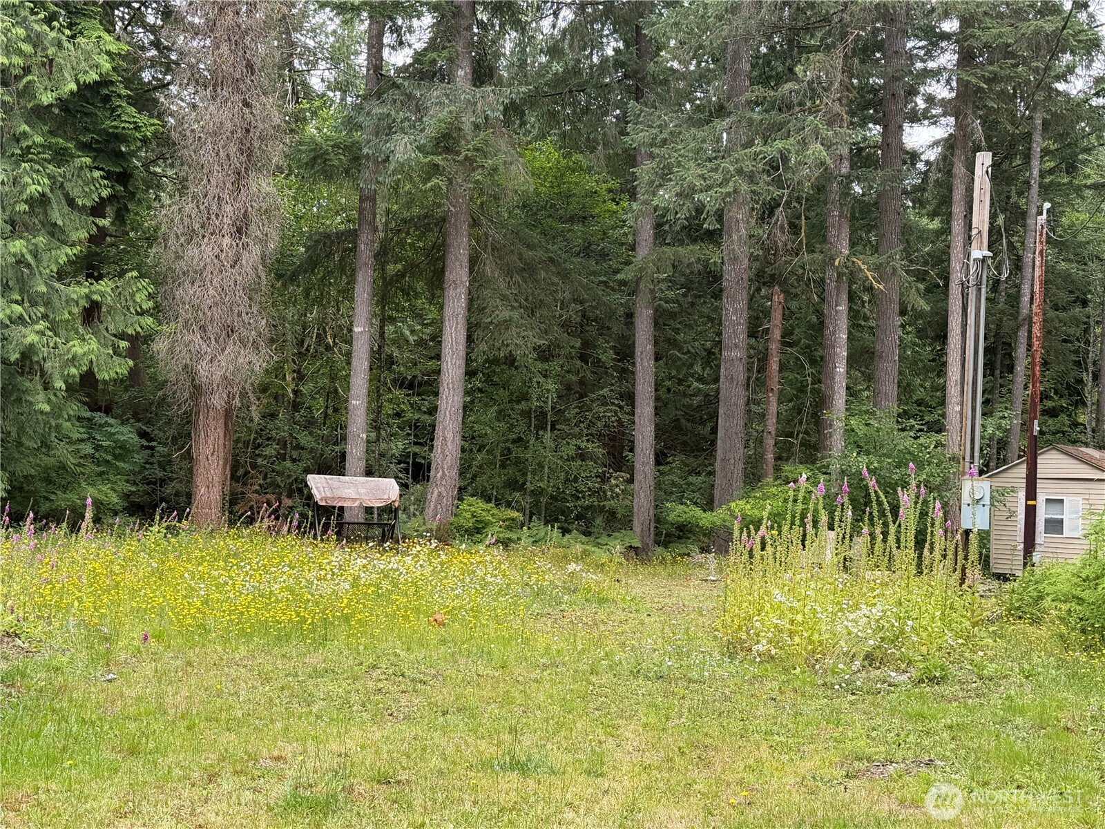 Land in Shelton 4