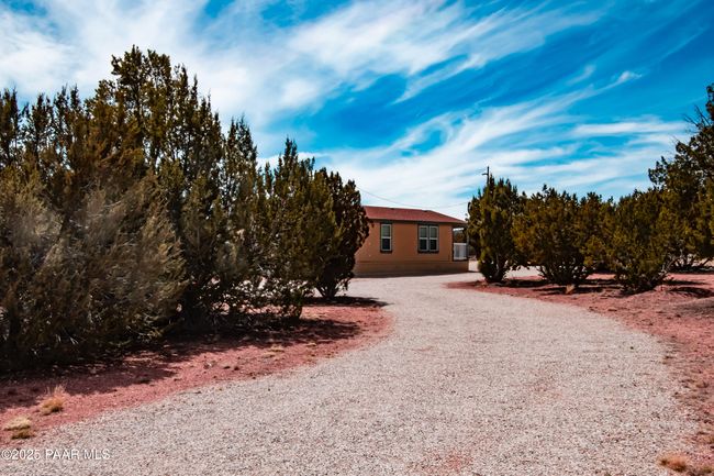 cedar-16 | Image 47