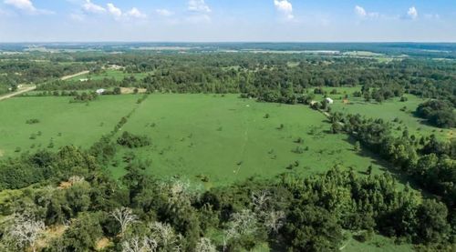 351 County Road 351, Oakwood, TX, 75855 | Card Image