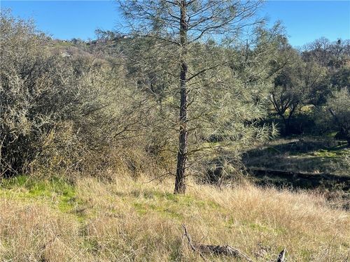 741 Long Hollow Drive, Coarsegold, CA, 93614 | Card Image