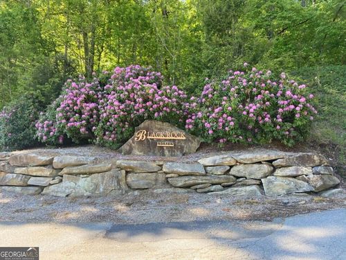 lot-13-0 Clayton Ave, Clayton, GA, 30525-5046 | Card Image