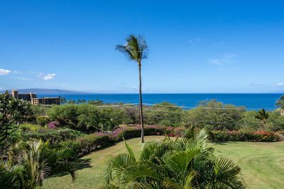 A-203 - 2777 S Kihei Rd, Condo with 2 bedrooms, 2 bathrooms and null parking in Kihei HI | Image 1