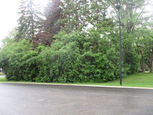 1S424 Monterey Ave, Oakbrook Terrace, IL, 60181-4515 | Card Image