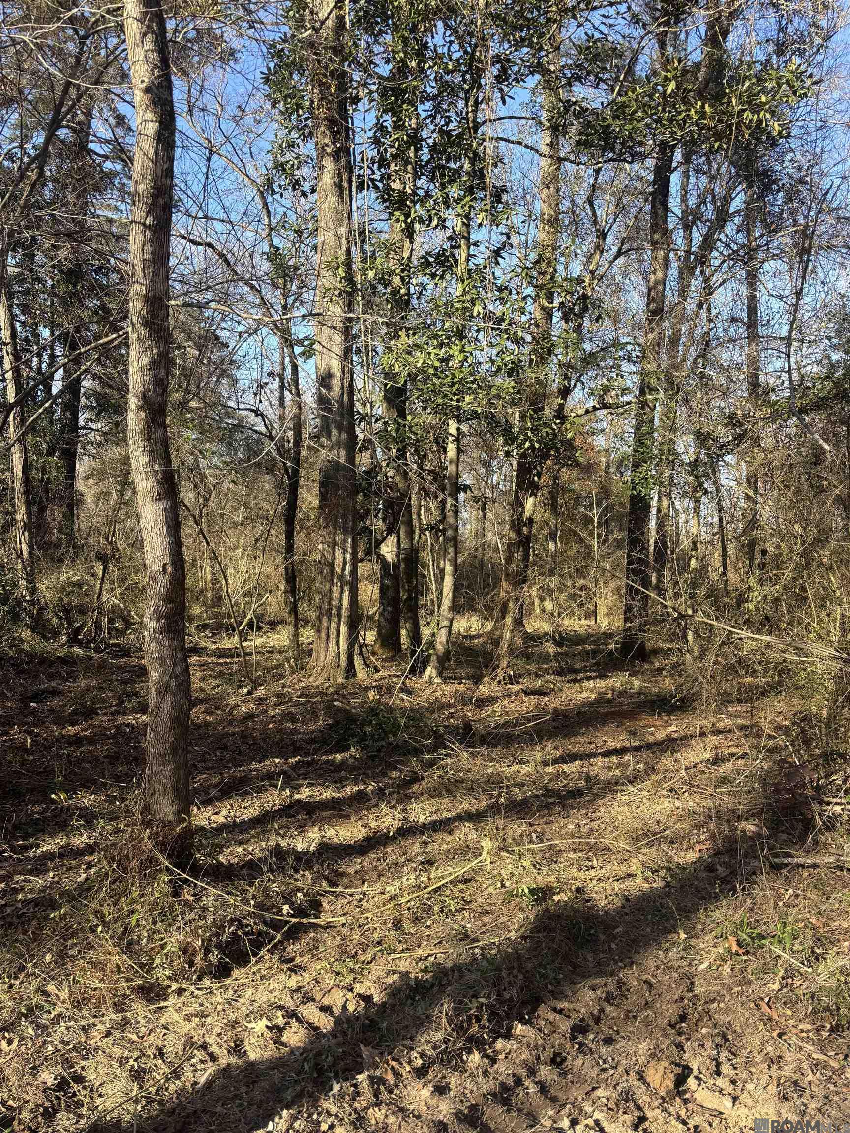 Land in Denham Springs