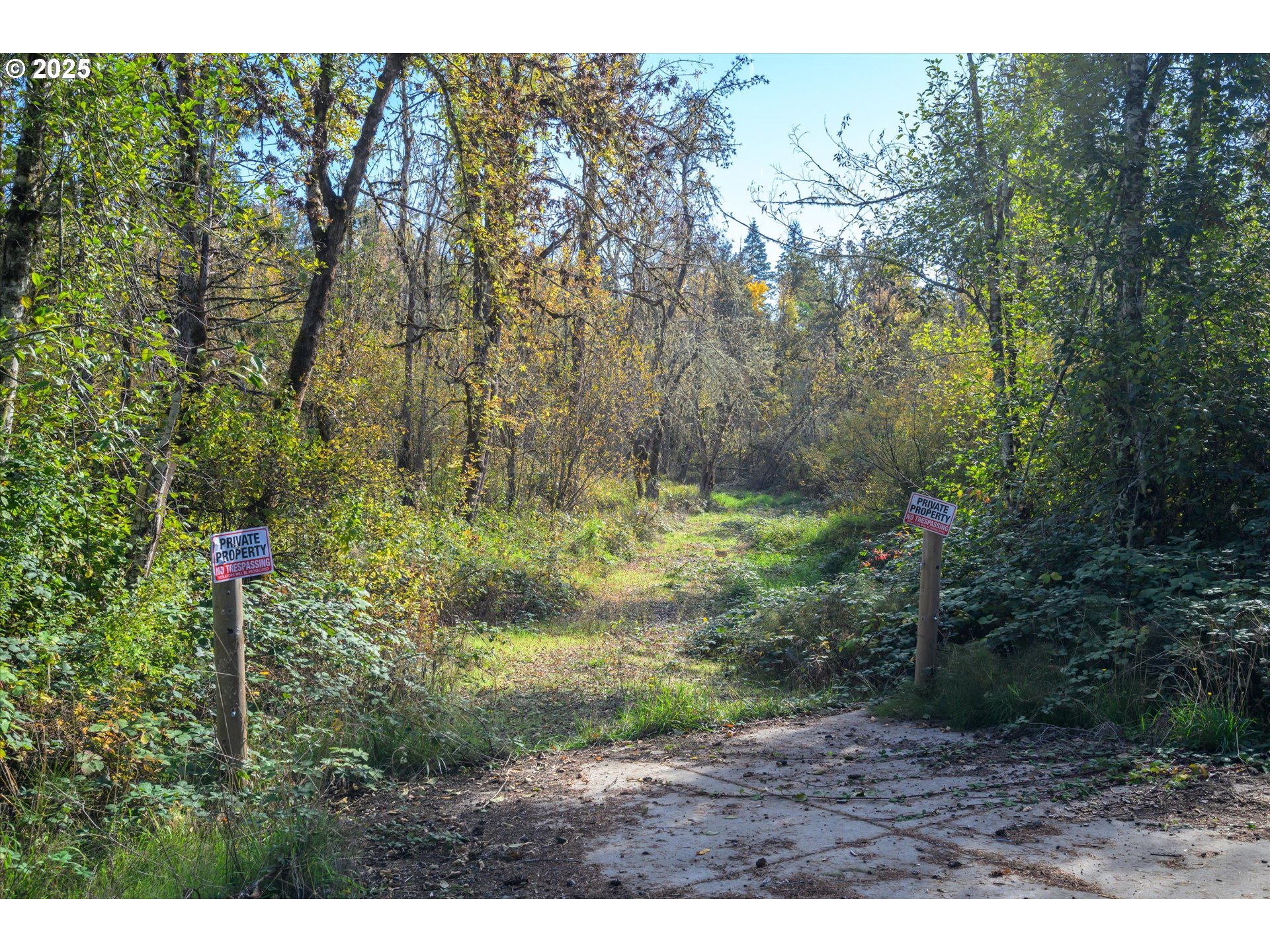 Land in Lorane 4