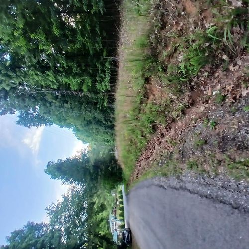 Tr'3 Raven Cliff Rd, Talking Rock, GA, 30175 | Card Image
