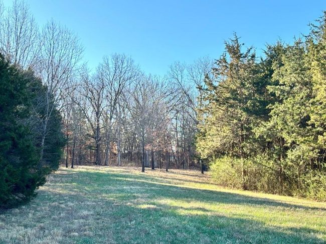 View of yard with a forest view | Image 26