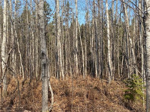 Near Bear Lake Road, CHIPPEWA, WI, 54514 | Card Image