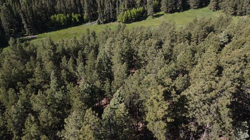 83 San Juan Dr, Angel Fire, NM, 87710 | Card Image