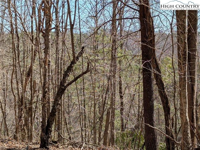 Potential view | Image 12