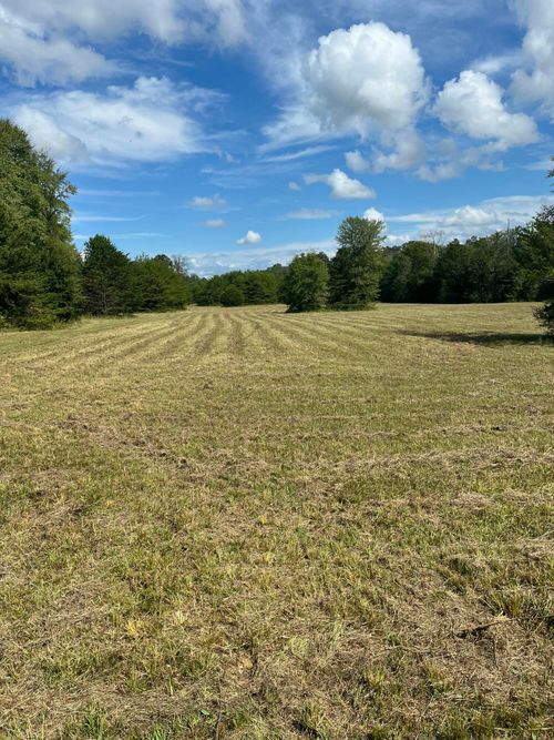 00 County Road 545, Englewood, TN, 37329 | Card Image