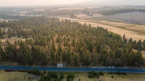 11002 S Jackson Rd, Mica, WA, 99023 | Card Image