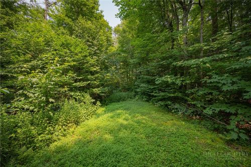 Lot 24 Linville River Drive, Linville, NC, 28646 | Card Image