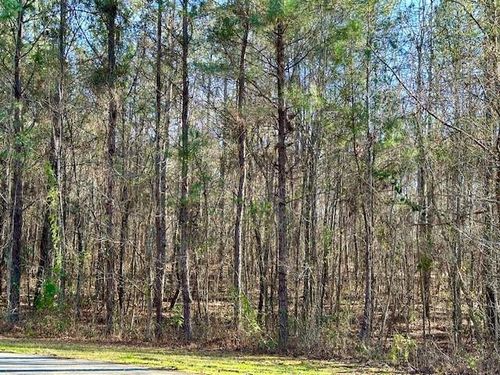 Lot 14 Oak Ridge Drive, Waverly Hall, GA, 31831 | Card Image