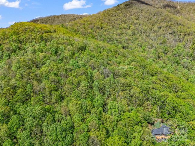 8 White Birch Ct, Home with 0 bedrooms, 0 bathrooms and null parking in Black Mountain NC | Image 10