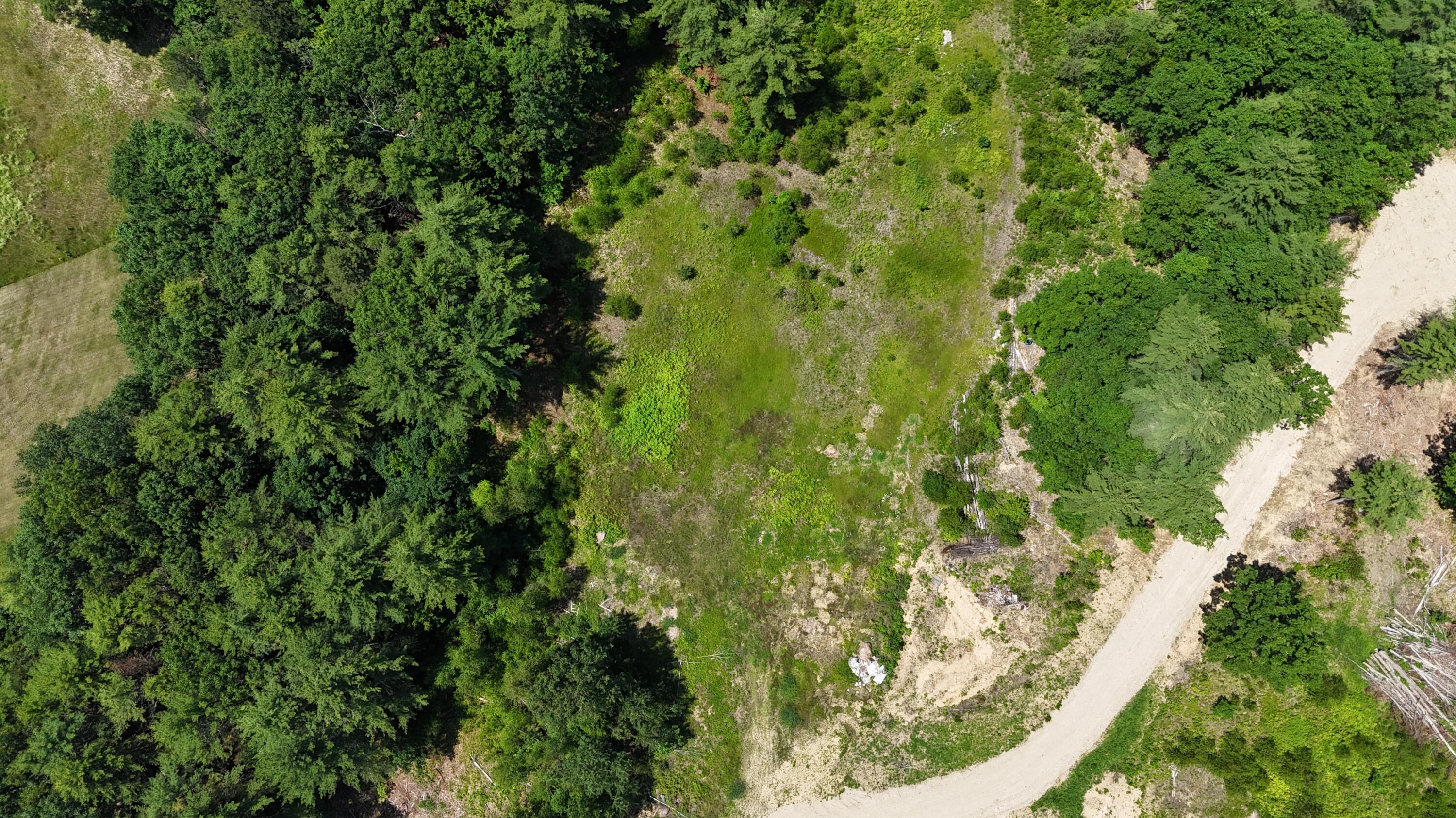 Land in Buxton 4