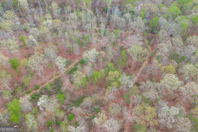 0 Carey Ford Rd, Home with 0 bedrooms, 0 bathrooms and null parking in Danielsville GA | Image 20