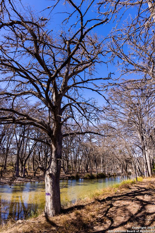 2800 Little Dry Frio Rd, Home with 0 bedrooms, 0 bathrooms and null parking in Rio Frio TX | Image 24