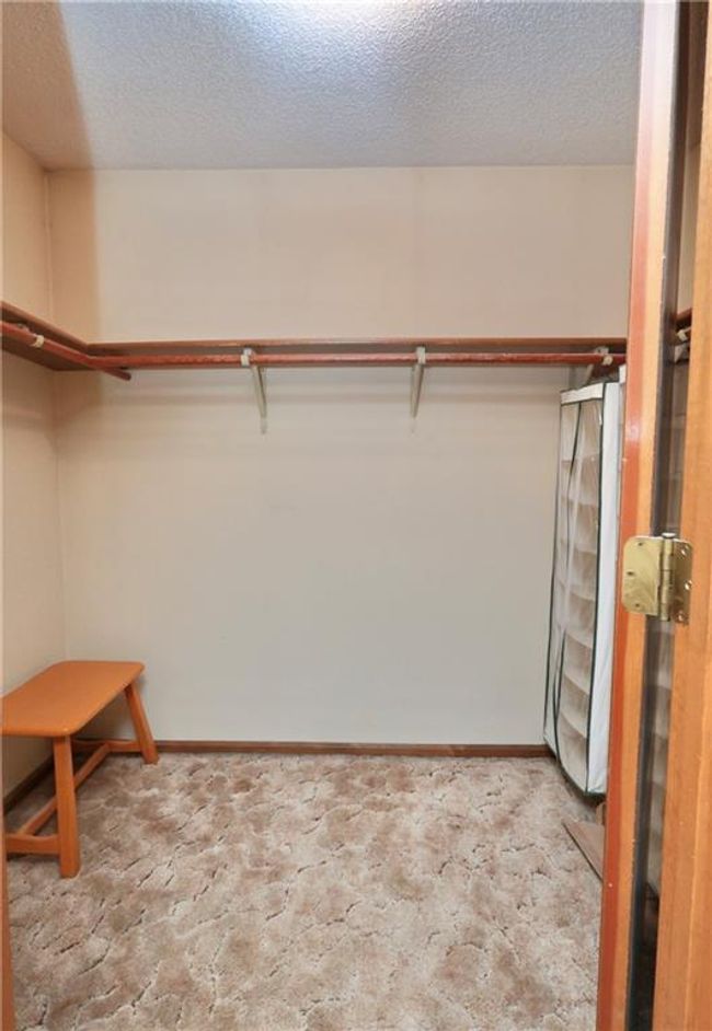 Walk in closet with carpet floors | Image 33