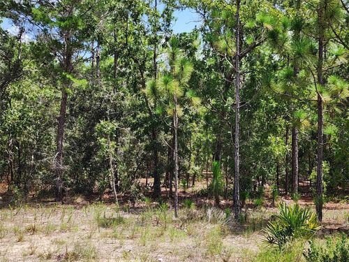 21 Whitewood St, HOMOSASSA, FL, 34446-4139 | Card Image