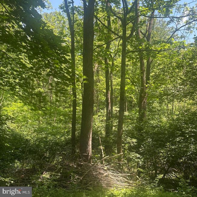 1175 Bollinger Rd, House other with 3 bedrooms, 1 bathrooms and null parking in LITTLESTOWN PA | Image 4