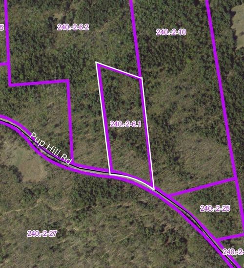 0 Pup Hill Rd, Saranac, NY, 12981 | Card Image