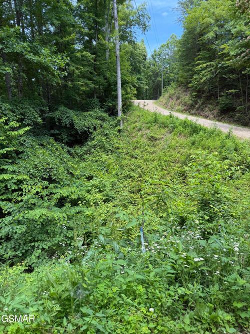 Lot 56 Butternut Ln, Sevierville, TN, 37876 | Card Image
