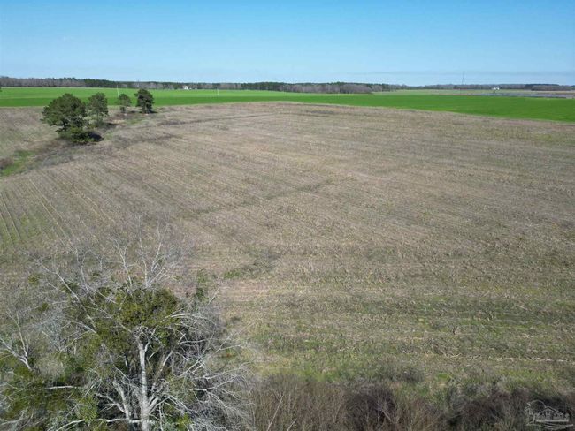 5400 Rockaway Creek Rd, Home with 0 bedrooms, 0 bathrooms and null parking in McDavid FL | Image 8