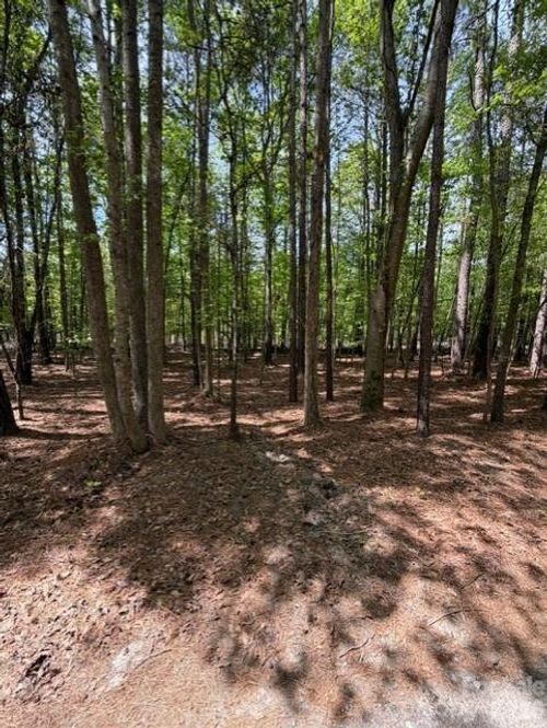 00 Truesdale Dr, Great Falls, SC, 29055 | Card Image