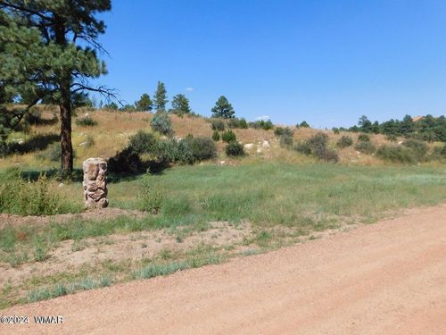 2806-2808 Pine Hill Drive, Overgaard, AZ, 85933 | Card Image