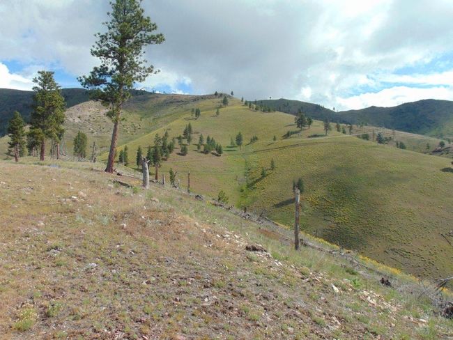 27235 Lazy Springs Rd, Home with 0 bedrooms, 0 bathrooms and null parking in Clinton MT | Image 83