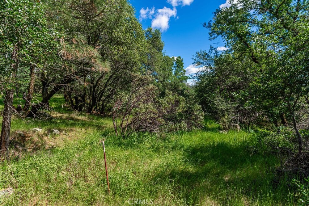 Land in Oroville 5