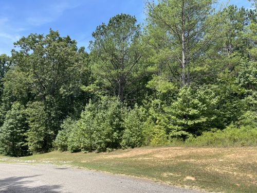 920 Strike King Dr, Cedar Grove, TN, 38321-6603 | Card Image