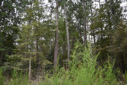 0 Daffodil Ln, Hemingway, SC, 29554 | Card Image