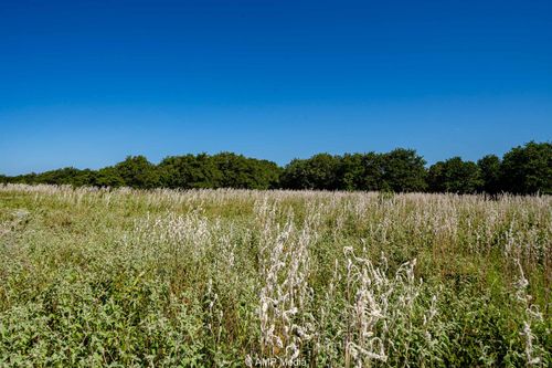 1450 County Road 240, Rising Star, TX, 76471-2224 | Card Image