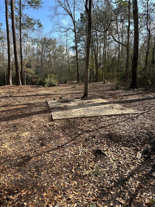 1 Mcclains Rd, Home with 0 bedrooms, 0 bathrooms and null parking in Shepherd TX | Image 4