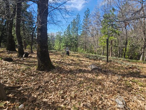 23470 Pack Trail Rd, Sonora, CA, 95370-9566 | Card Image