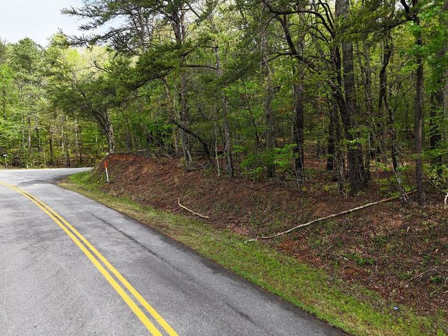 02 - 6.02 ac Ace Way, Home with 0 bedrooms, 0 bathrooms and null parking in Blairsville GA | Image 13