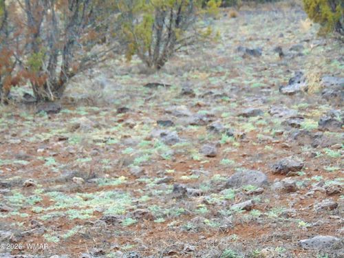 15 Mills, Concho, AZ, 85924 | Card Image