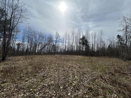 16003 Cedar Lake Lane, Doty, WI, 54149 | Card Image