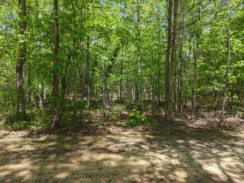 00 Jim Black Drive, Old Fort, TN, 37362 | Card Image