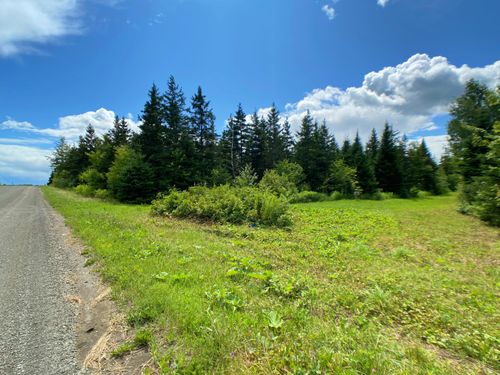 95 Tupper Road, Perham, ME, 04766 | Card Image