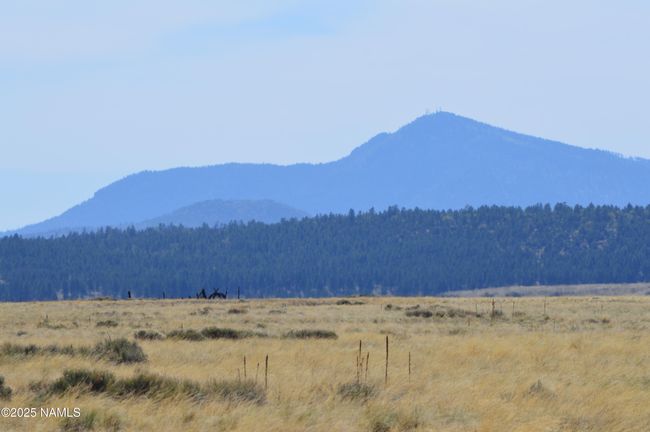 2 E Tanner Ranch Rd, Home with 0 bedrooms, 0 bathrooms and null parking in Parks AZ | Image 16