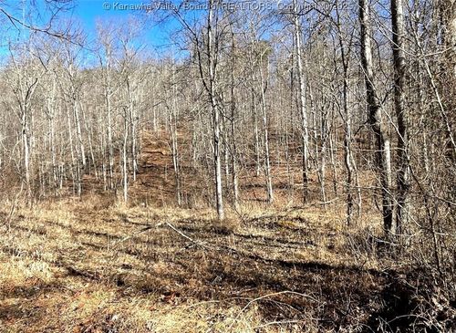0 2 Mile Creek Rd, Wayne, WV, 25570 | Card Image