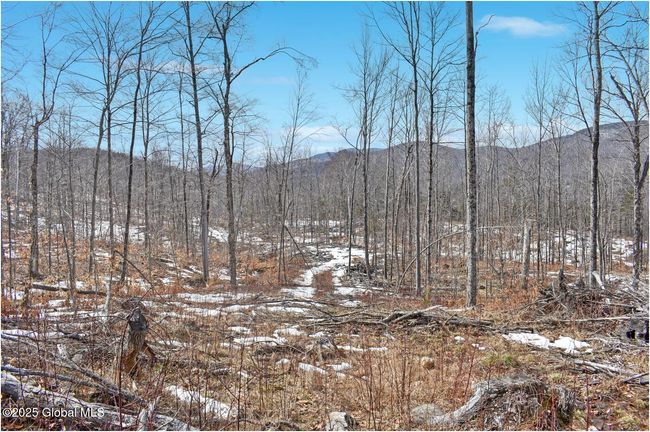 48 Durkin Rd, Home with 0 bedrooms, 0 bathrooms and null parking in North Creek NY | Image 33
