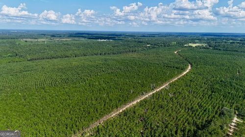 0 Penny Morris Rd, Baxley, GA, 31513 | Card Image