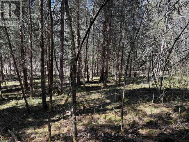 27 Old Nipissing Road N Road, Home with 0 bedrooms, 0 bathrooms and null parking in Parry Sound Remote Area (Pringle) ON | Image 11