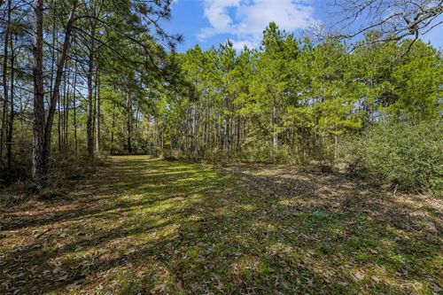 15245 Shady Oaks Dr, Stagecoach, TX, 77355-3356 | Card Image