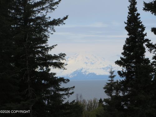 L2 Sterling Hwy, Clam Gulch, AK, 99568 | Card Image