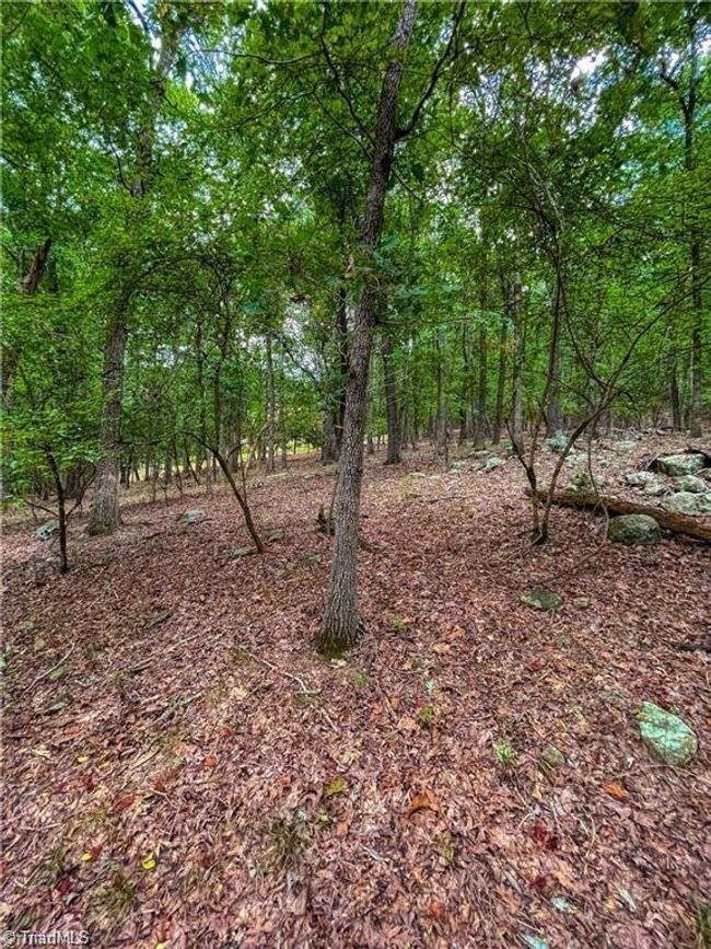 0 Rocky Cove Ln, Home with 0 bedrooms, 0 bathrooms and null parking in Denton NC | Image 12